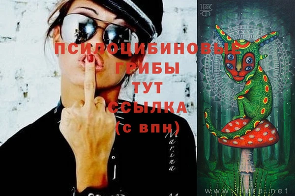 spice Новозыбков