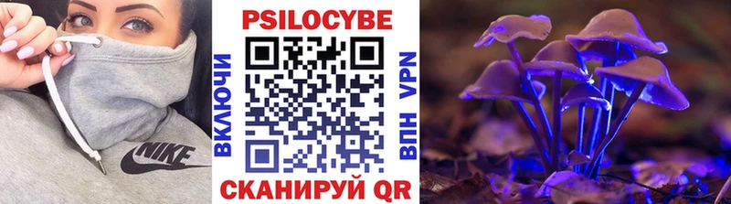 Галлюциногенные грибы Cubensis  купить  цена  Чекалин 